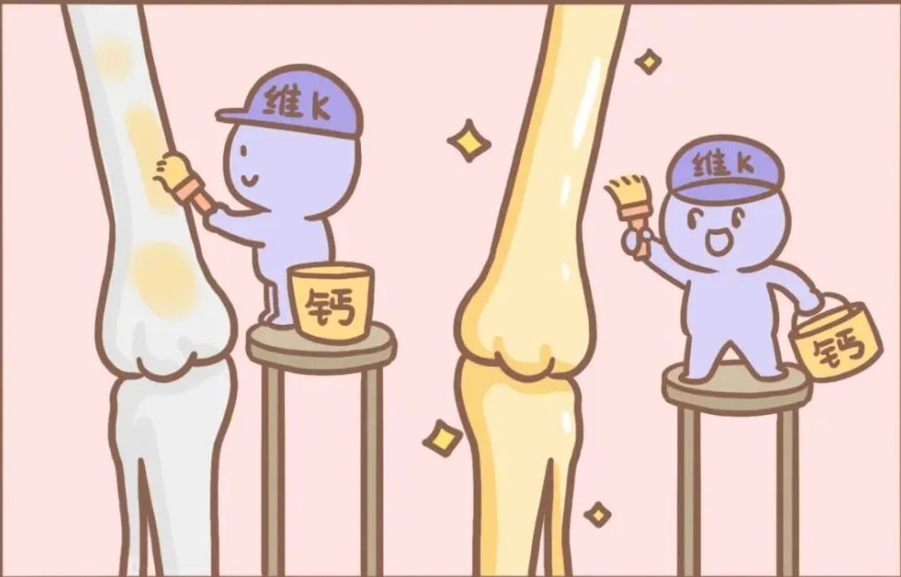 股骨头47.jpg