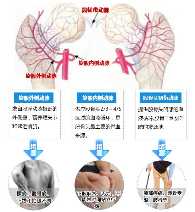症状原理.jpg